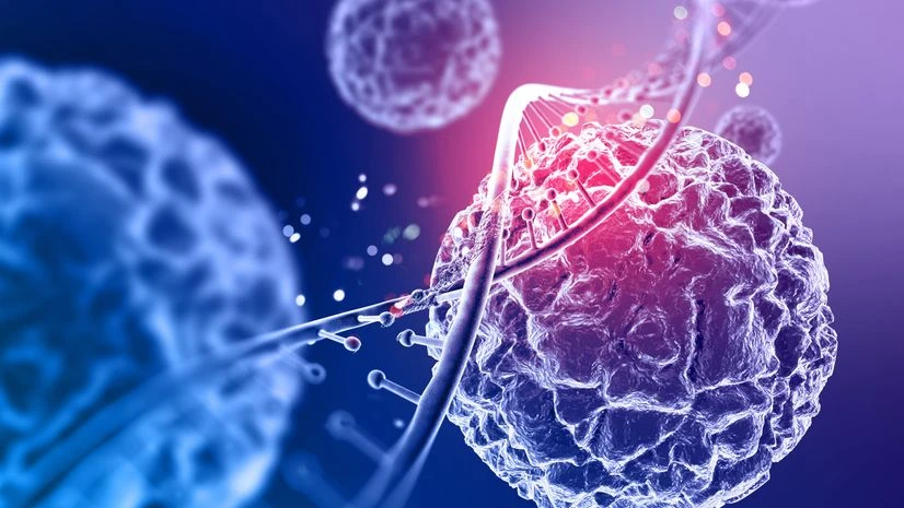 the-2025-nobel-prize-in-physiology-medicine2
